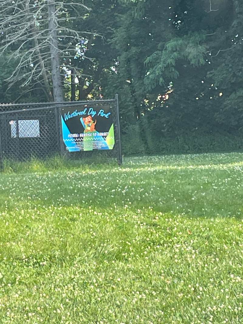 walking near me in Bicentennial Park in summer