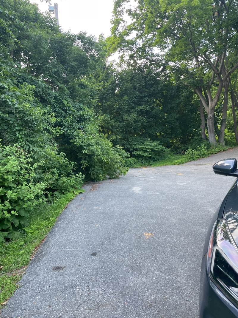walking near me in Cornelia Warren Park in summer