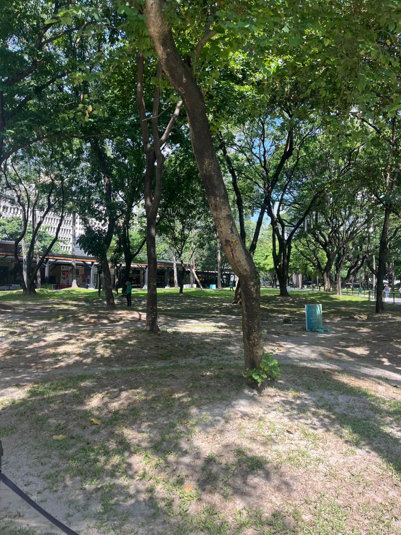 walking near me in Ayala Park in autumn