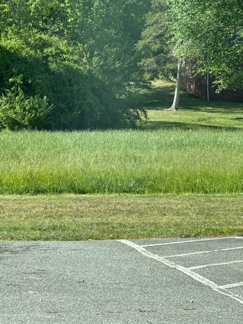 walking near me in Lenoir Greenway in spring