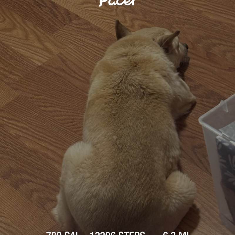 sub0o0🚜🐿🎸 post 1