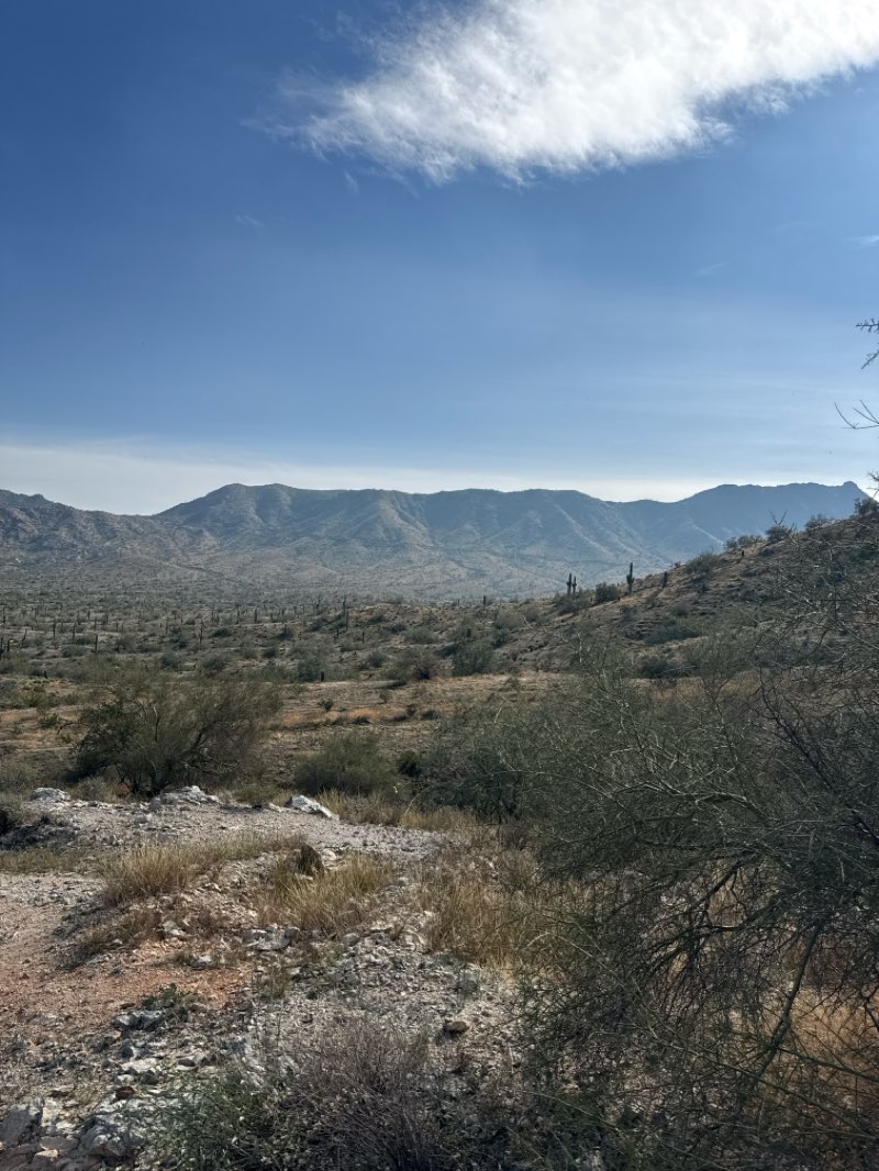 walking near me in South Mountain Park and Preserve in winter