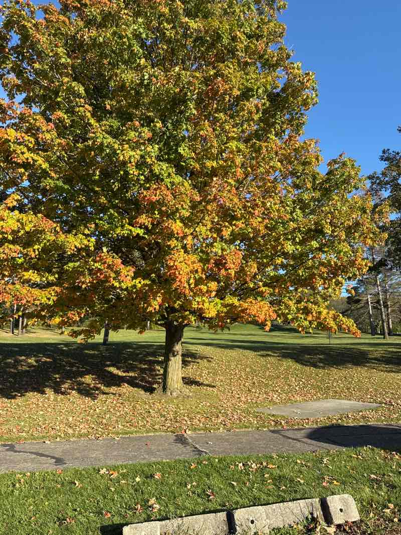 walking near me in Valley View County Park in autumn