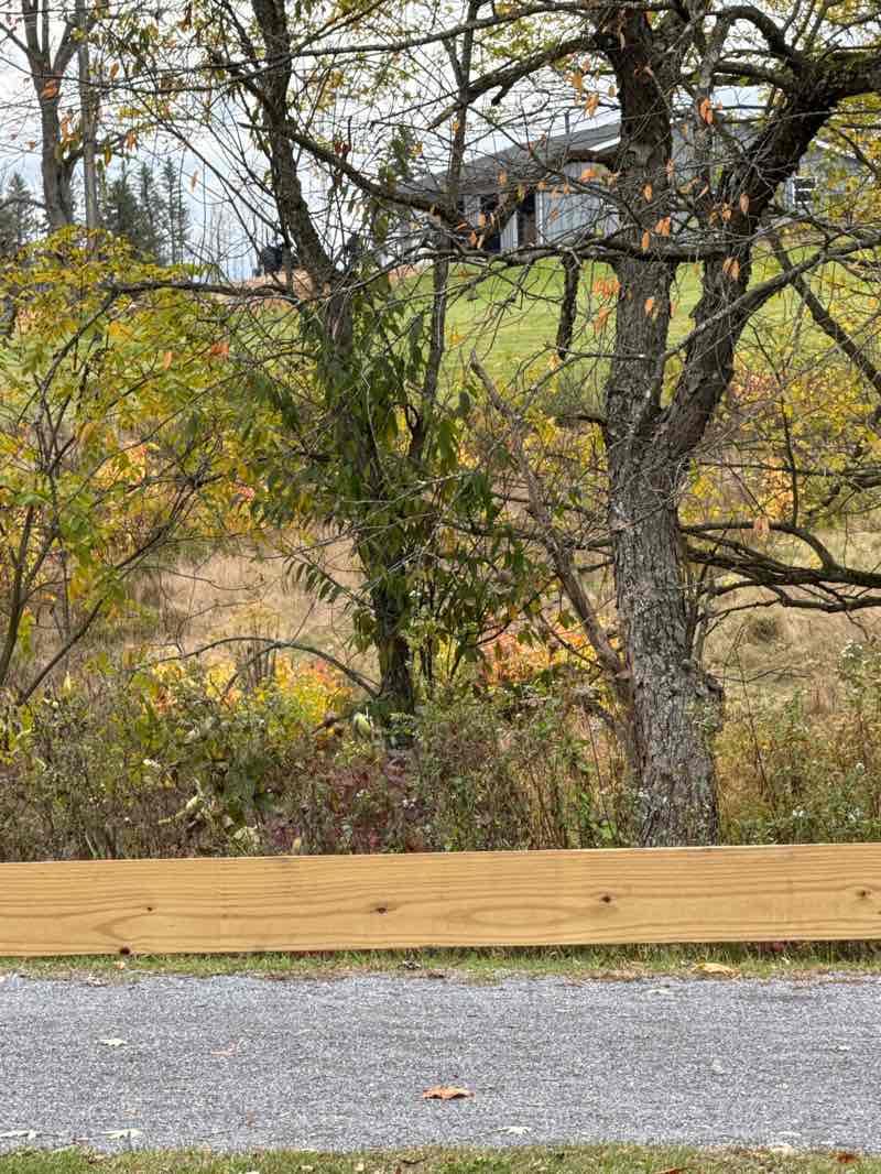 walking near me in Ebensburg War Memorial Park in autumn