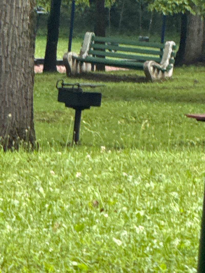 walking near me in Highland Park in autumn