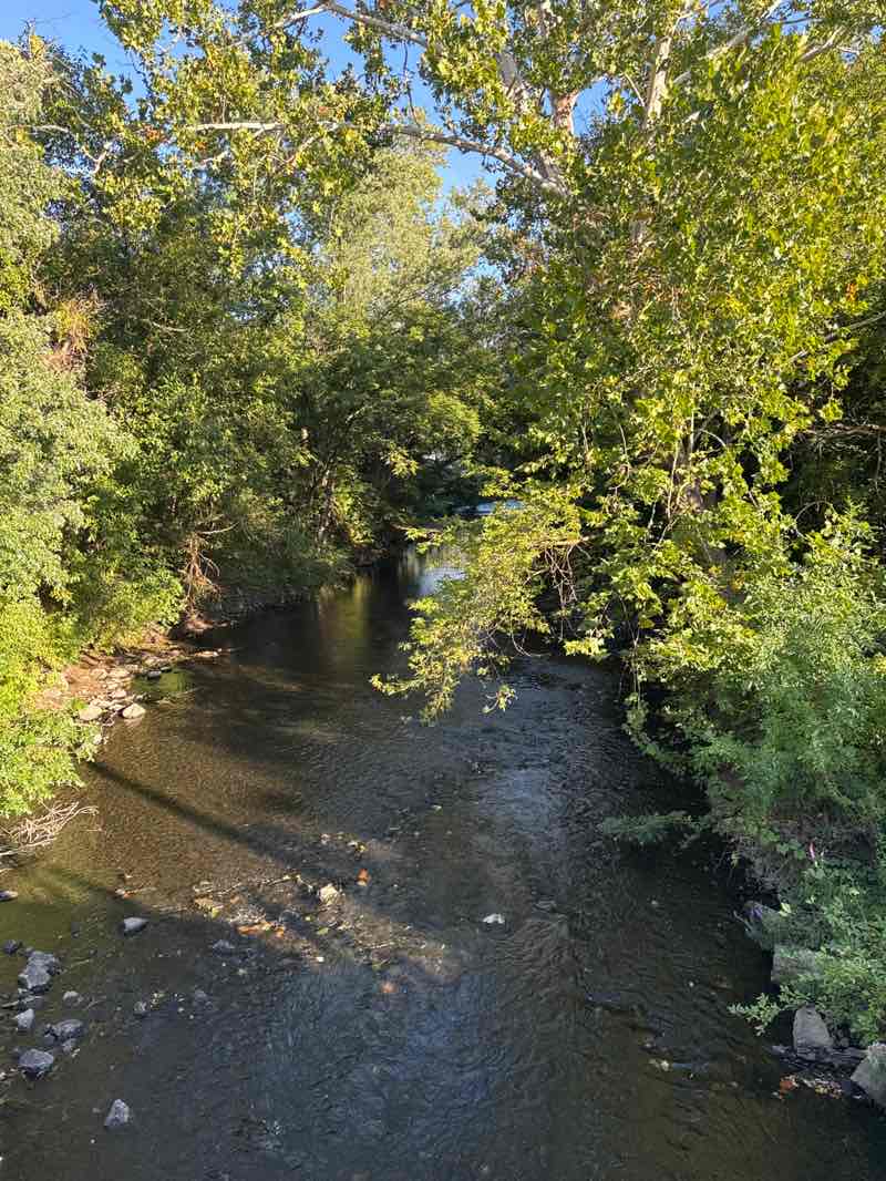 walking near me in Canal Basin Park in autumn