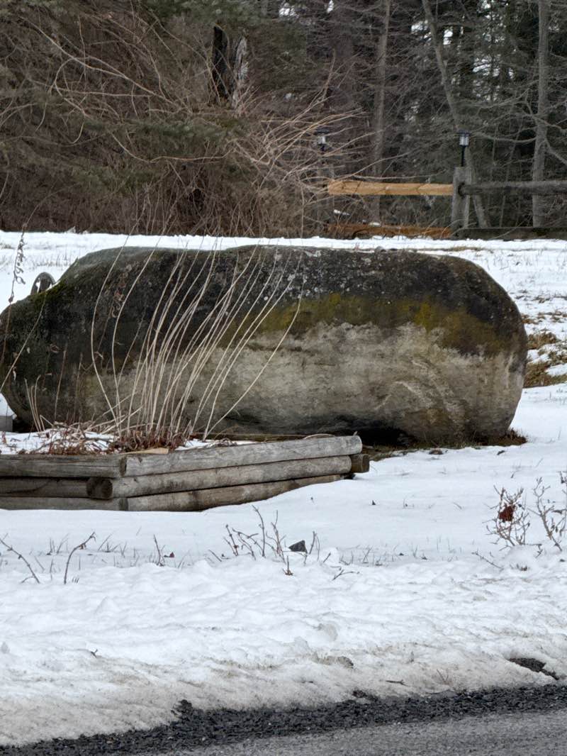 walking near me in Lilly Washington War Memorial Park in winter