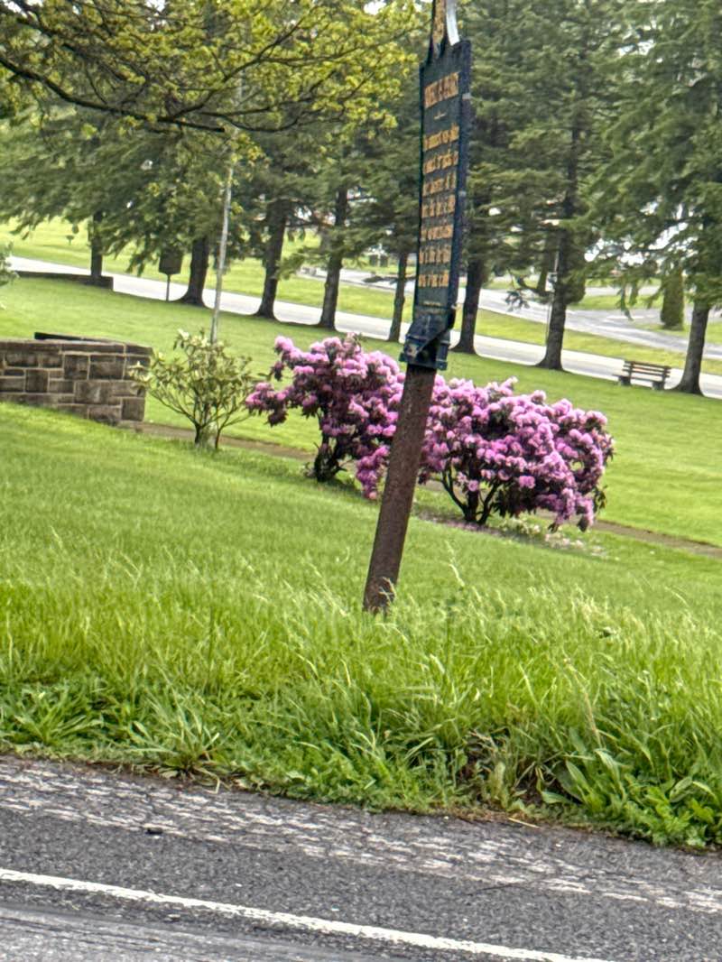 walking near me in Admiral Peary Park in summer