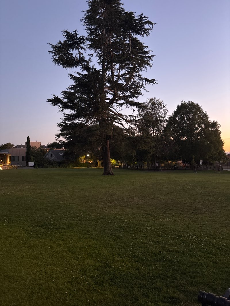 walking near me in Willard Park in summer