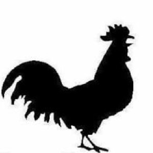 Cap Manok🐝 icon