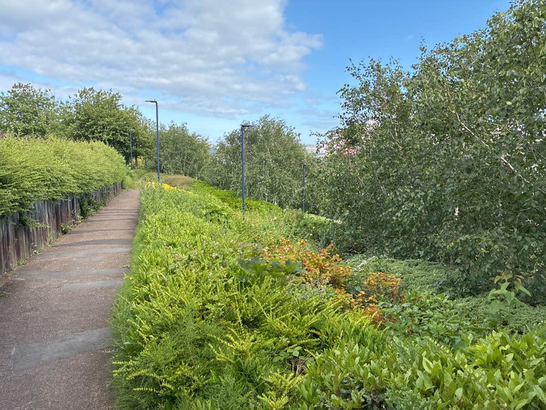 walking near me in Redburn Dene in summer