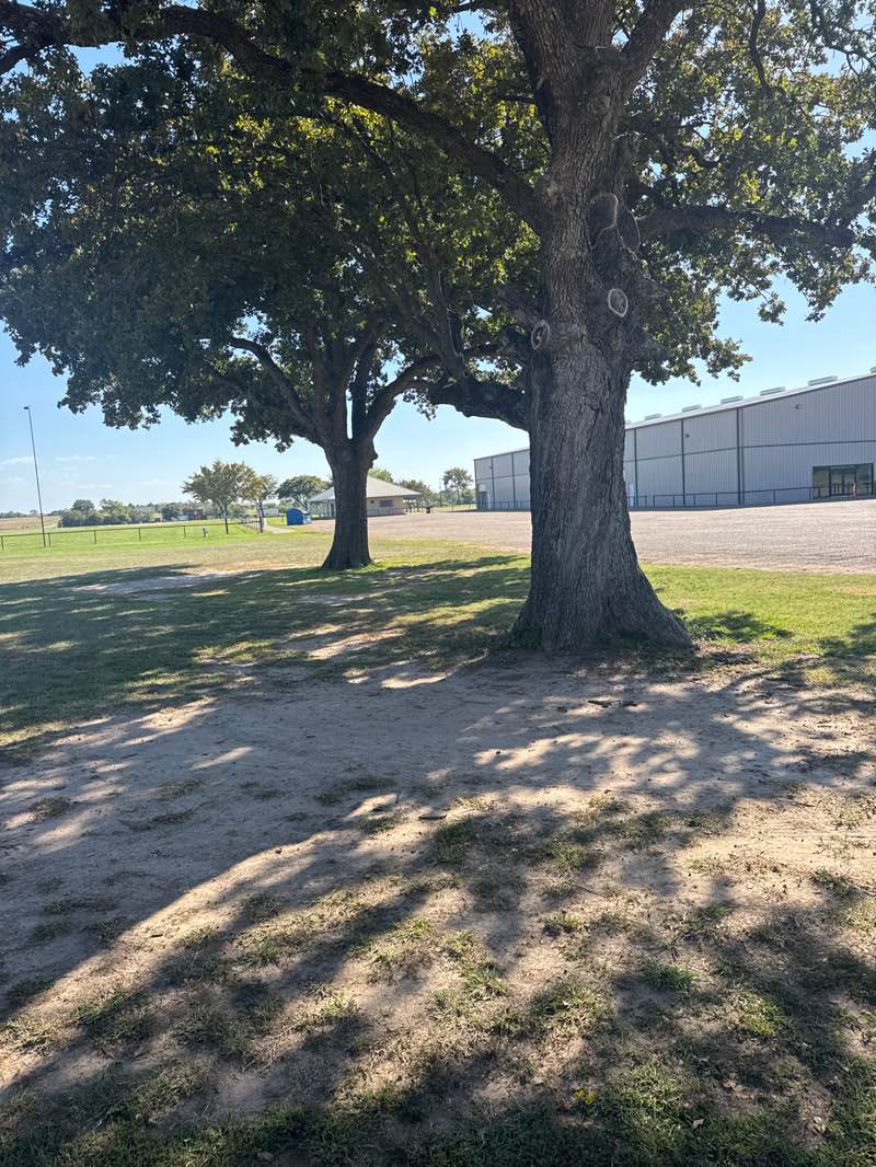 walking near me in Mabank Veterans Memorial and Pavallion Park in autumn