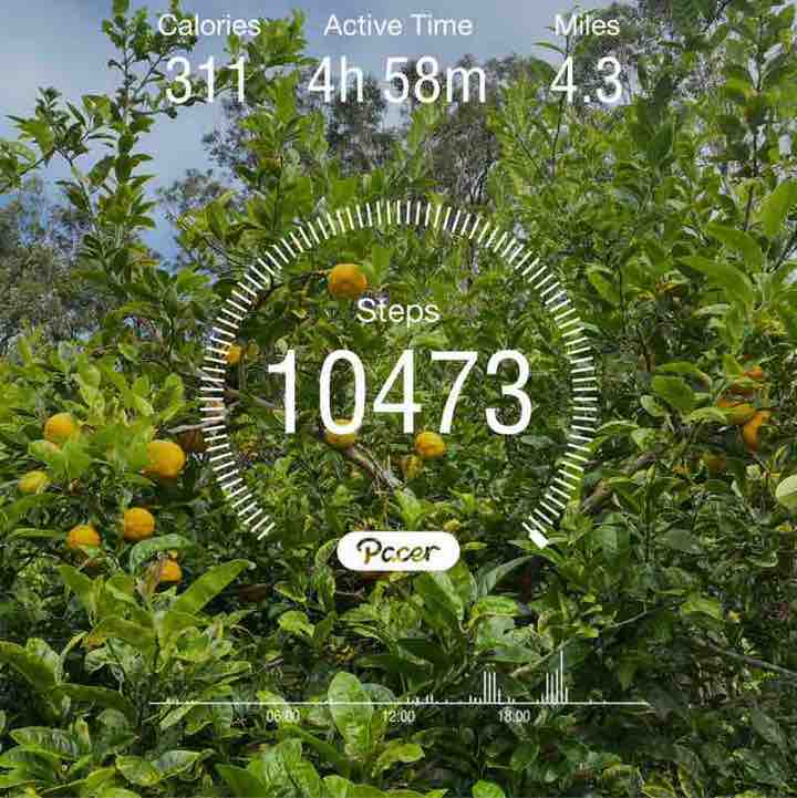 🐱n3ko🐱nyan🐱 post 3