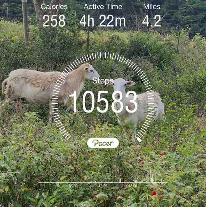 🐱n3ko🐱nyan🐱 post 2