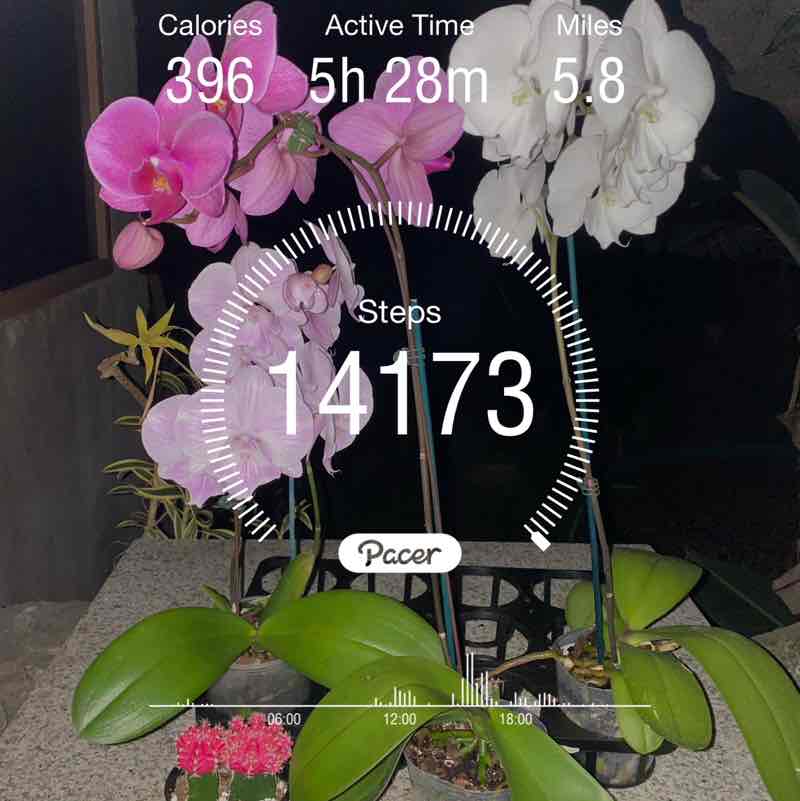 🐱n3ko🐱nyan🐱 post 1