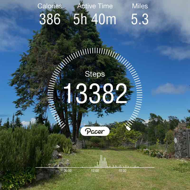 🐱n3ko🐱nyan🐱 post 2