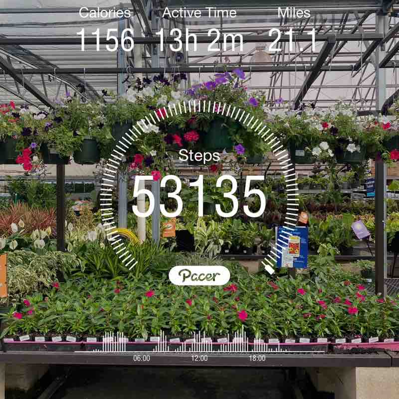 🐱n3ko🐱nyan🐱 post 2