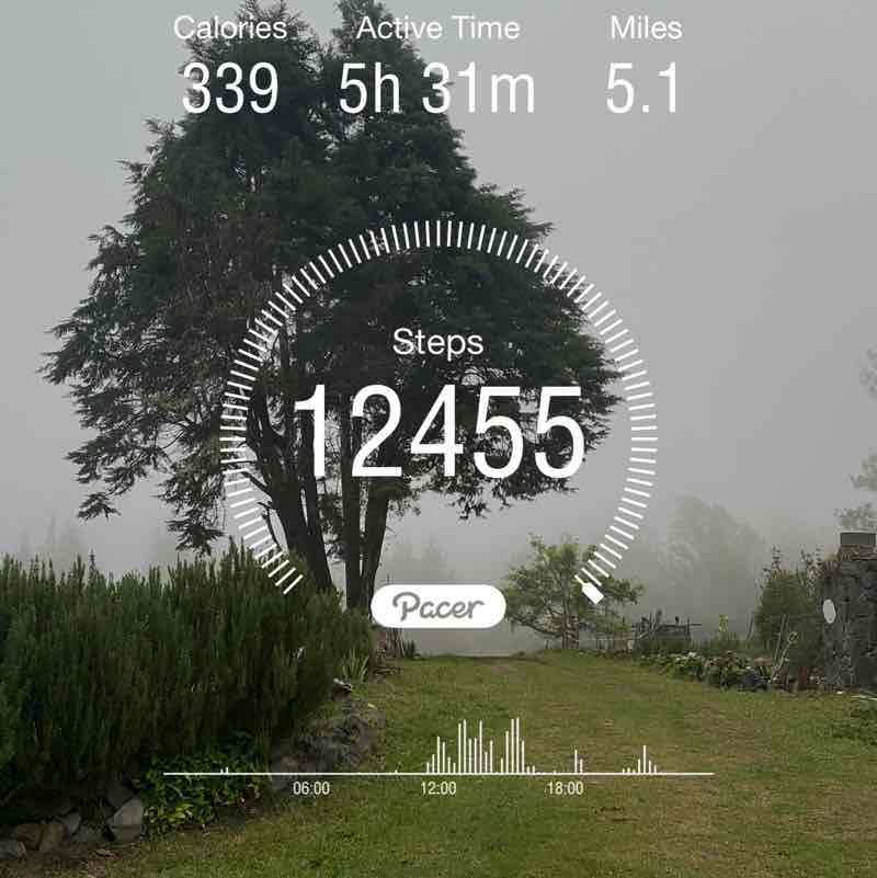 🐱n3ko🐱nyan🐱 post 1