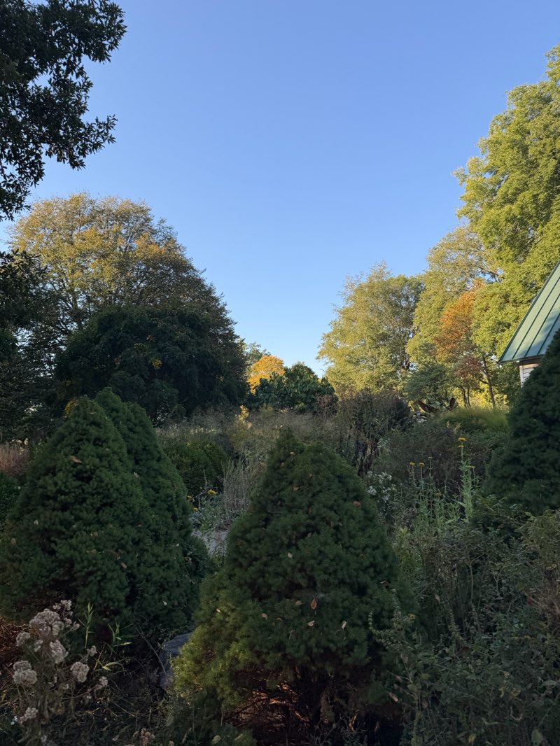 walking near me in Meadowbrook Park in autumn