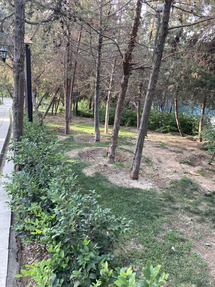 walking near me in Fadak Park in summer