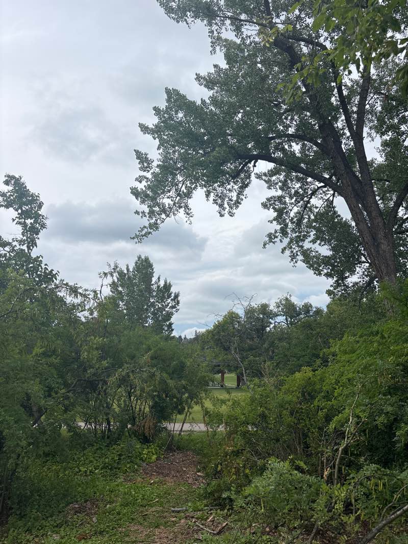 walking near me in Riley Park in autumn