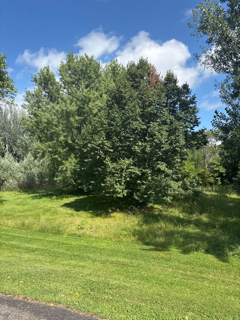 walking near me in Orchard Glen Park in autumn