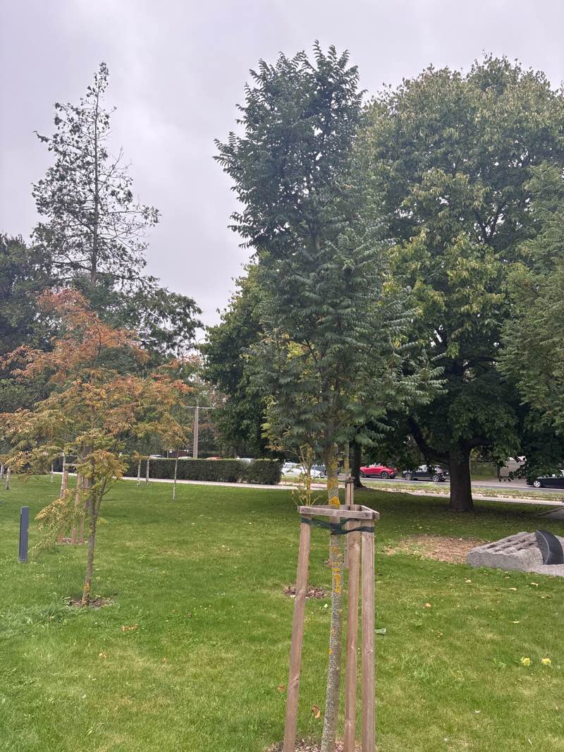 walking near me in Park Pamięci in autumn