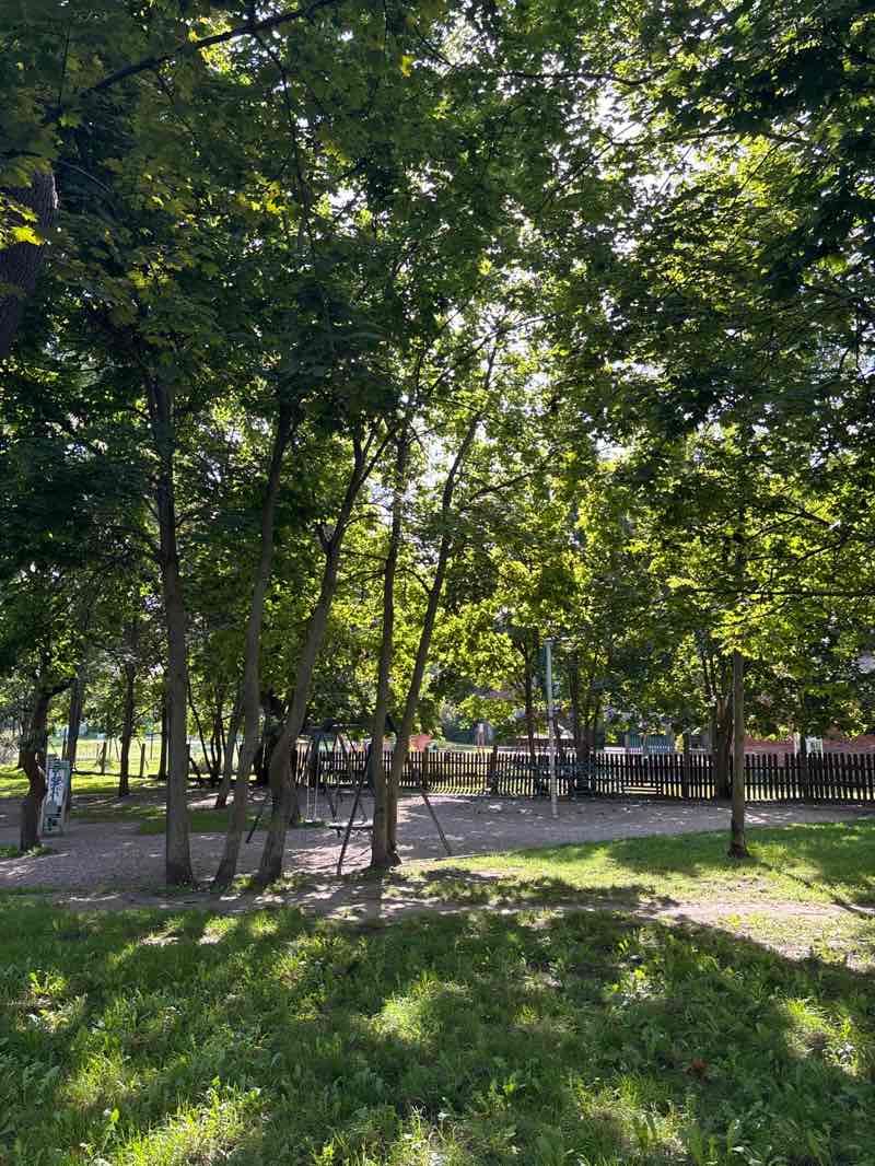 walking near me in Park im. Św. Barbary in autumn