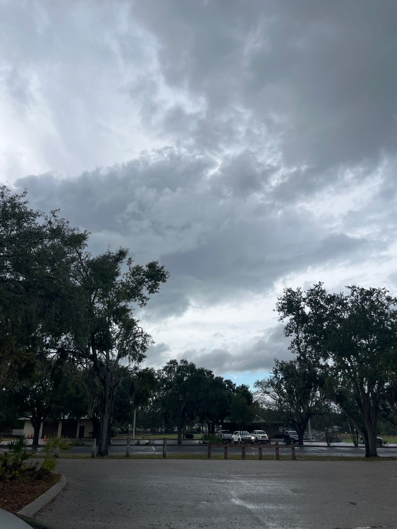 walking near me in John S. Burks Memorial Park in autumn