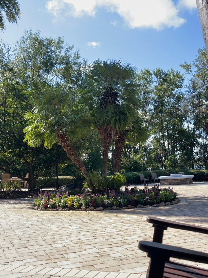 walking near me in Wilderness Lakes Lodge Area in autumn