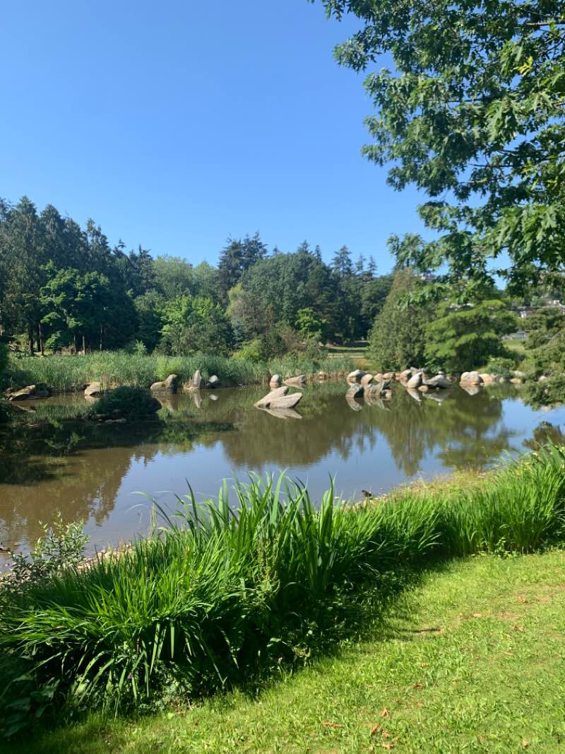 walking near me in Charleson Park in winter