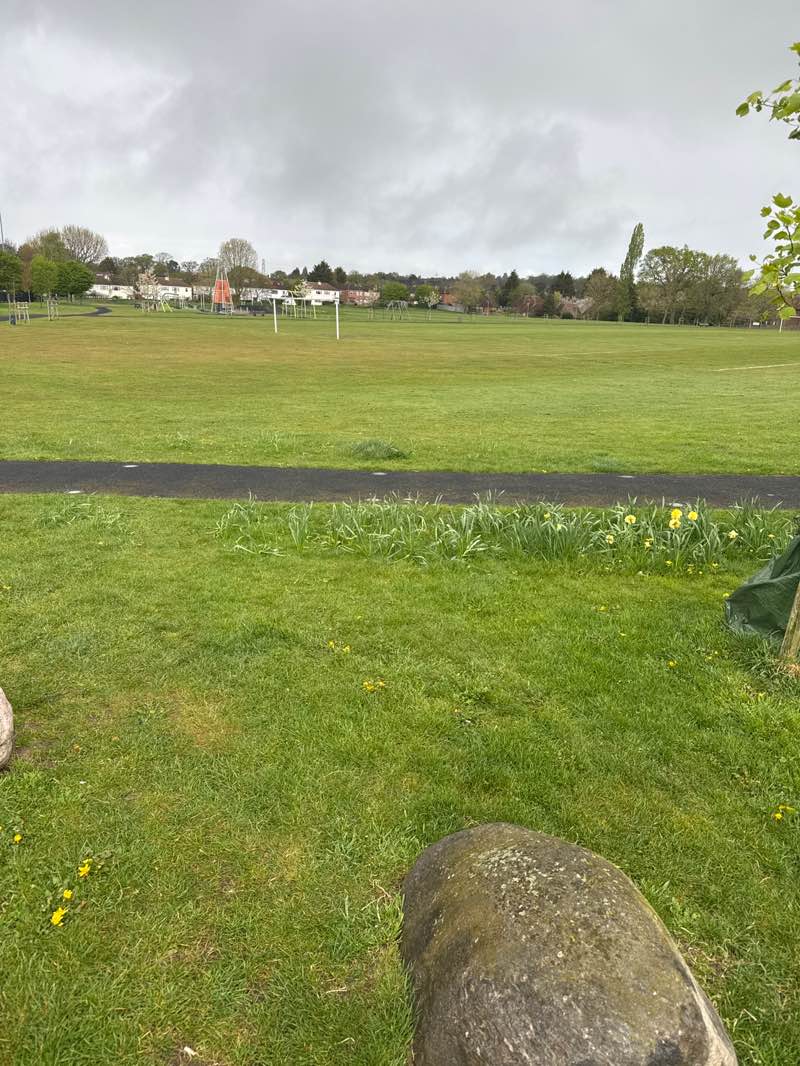 walking near me in Meadow Park in spring