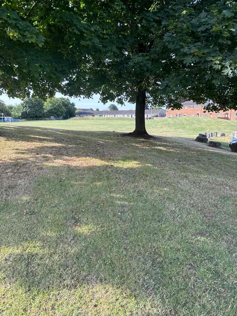 walking near me in Pategill Playing Field in summer