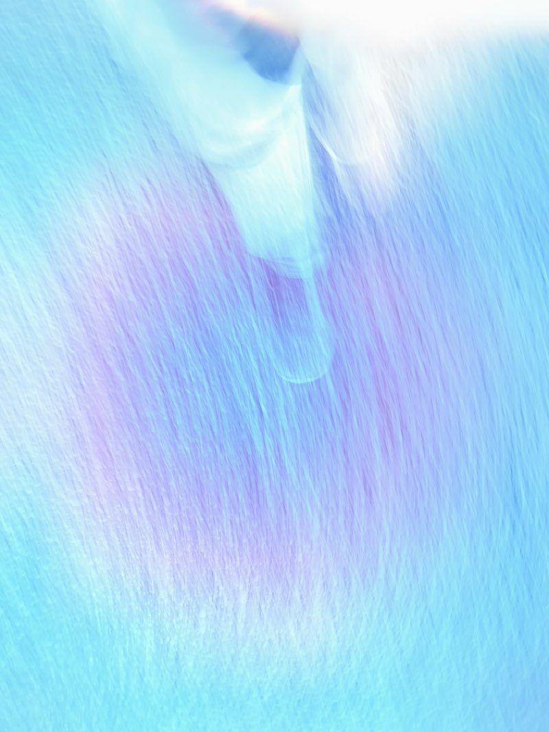 walking near me in Thornbury Park in autumn