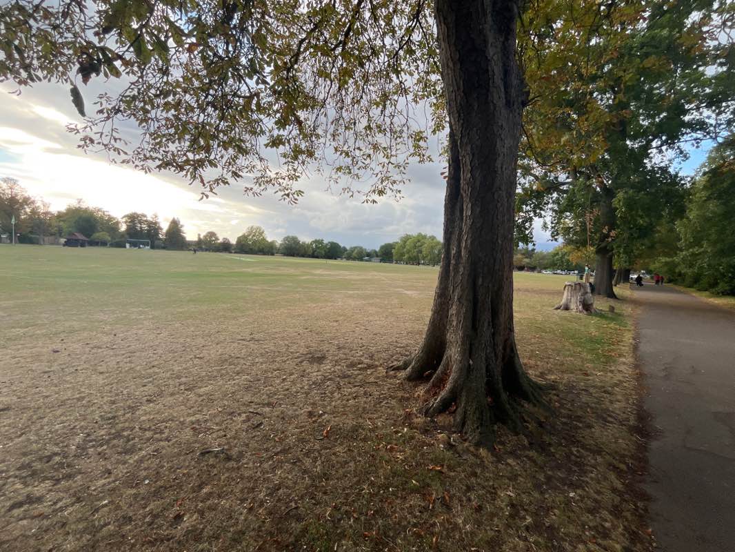 walking near me in Harrow Recreation Ground in autumn