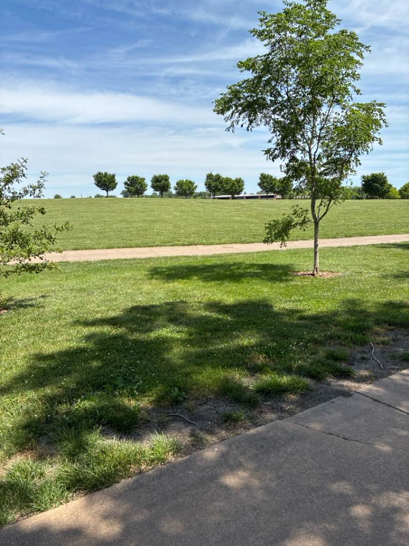 walking near me in Southwind Park in summer