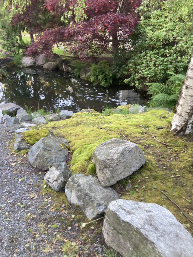 walking near me in Cedar Springs Trail Park in spring