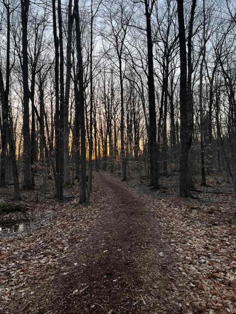 walking near me in Tareyton Park in winter
