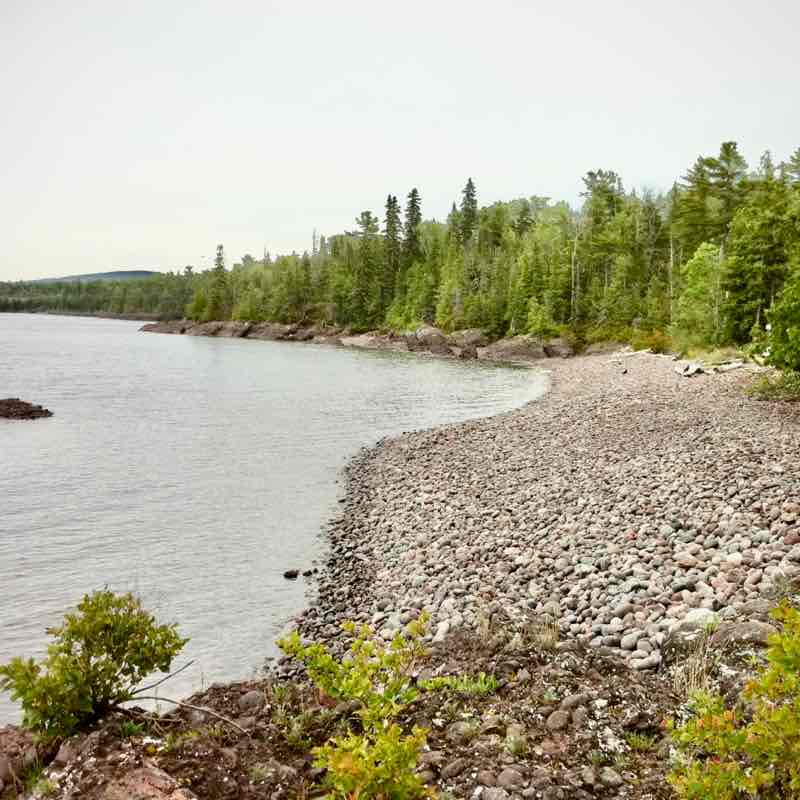 Walk That Talk Kristen post image