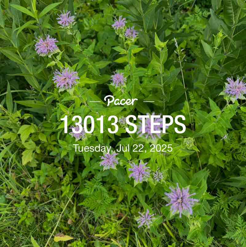 Walk That Talk Kristen post image