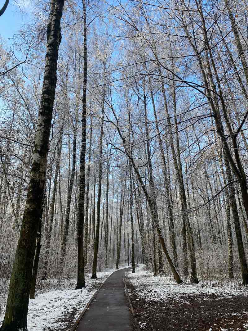 walking near me in Центральный парк in autumn