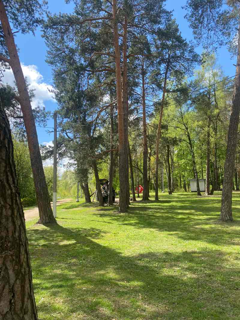 walking near me in Парк усадьбы Волхонка in spring