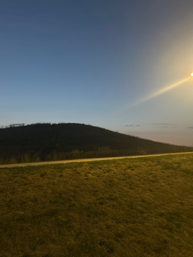 walking near me in Downsview Park in autumn
