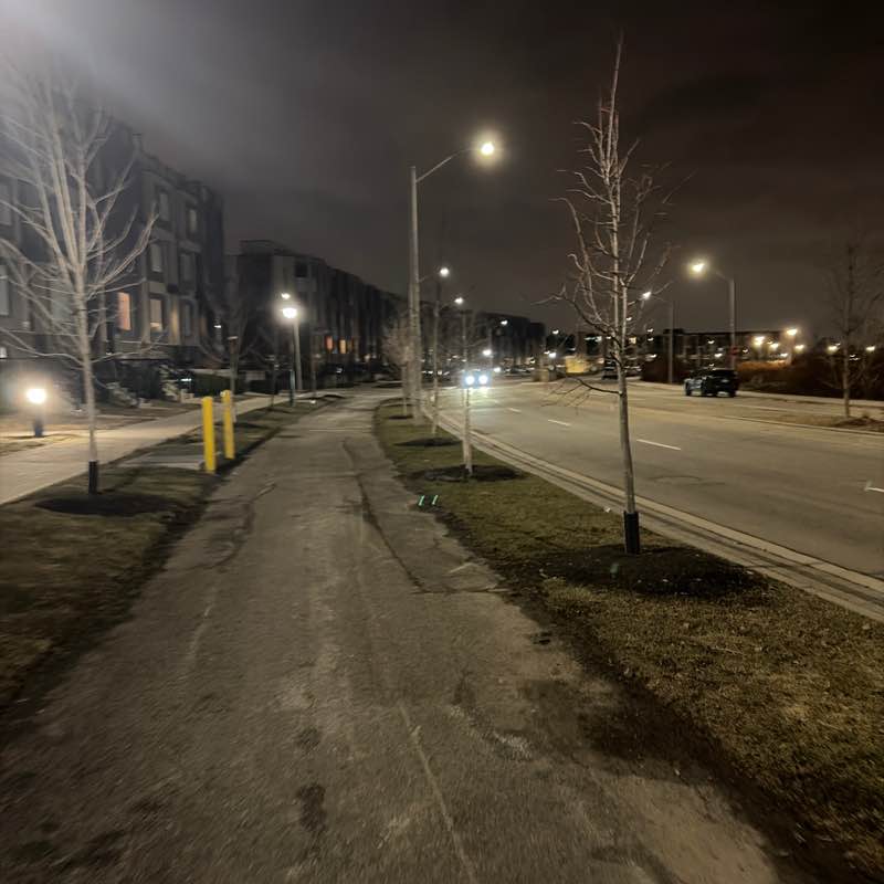 tali.shteynberg post 1