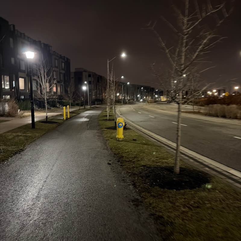 tali.shteynberg post 1