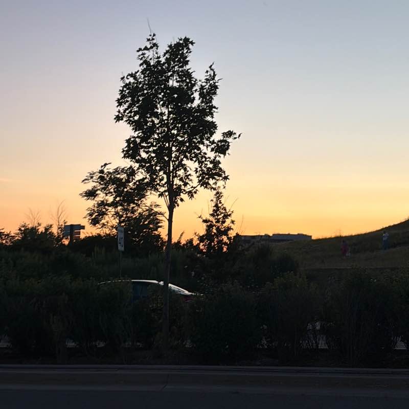 tali.shteynberg post 1