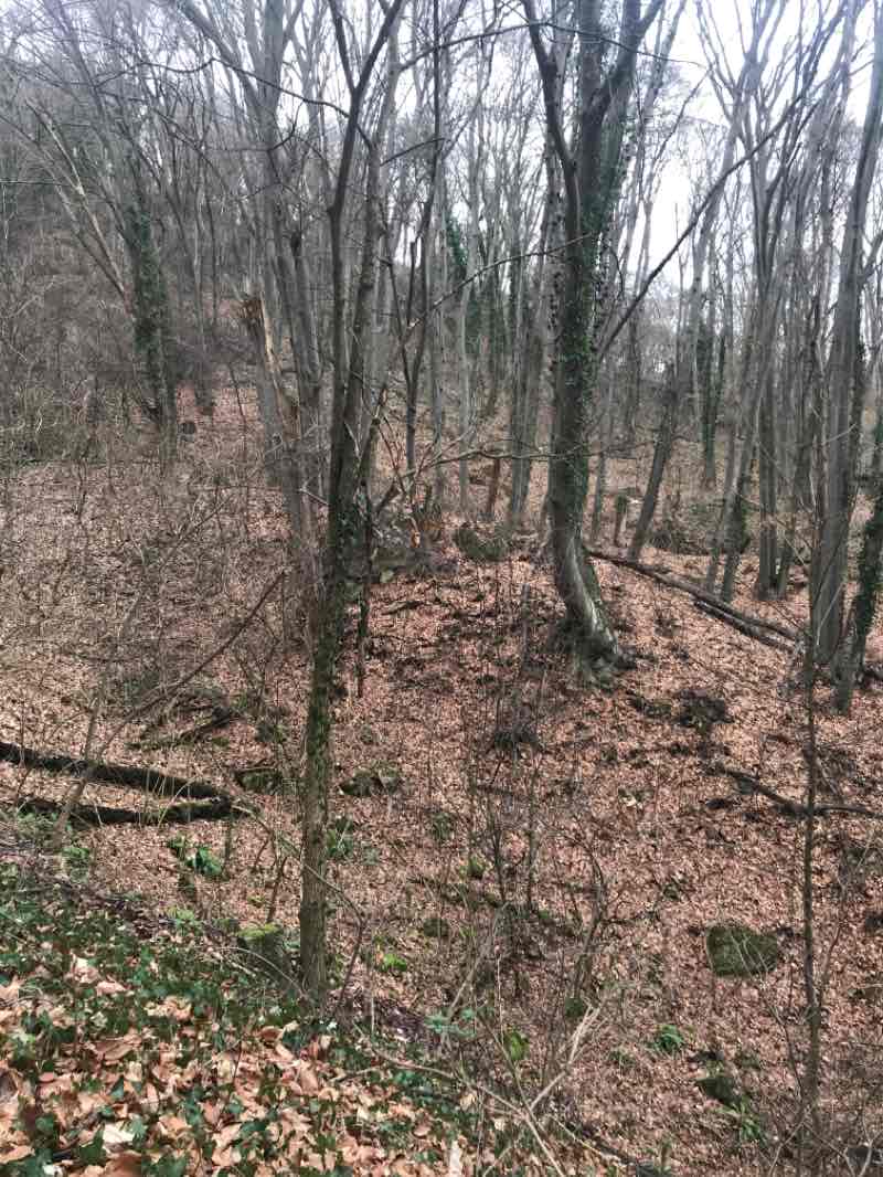 walking near me in Прак „Кьошковете“ in winter