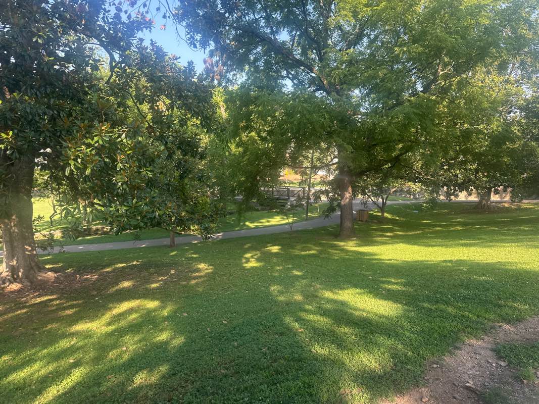 walking near me in Sevier Park in summer