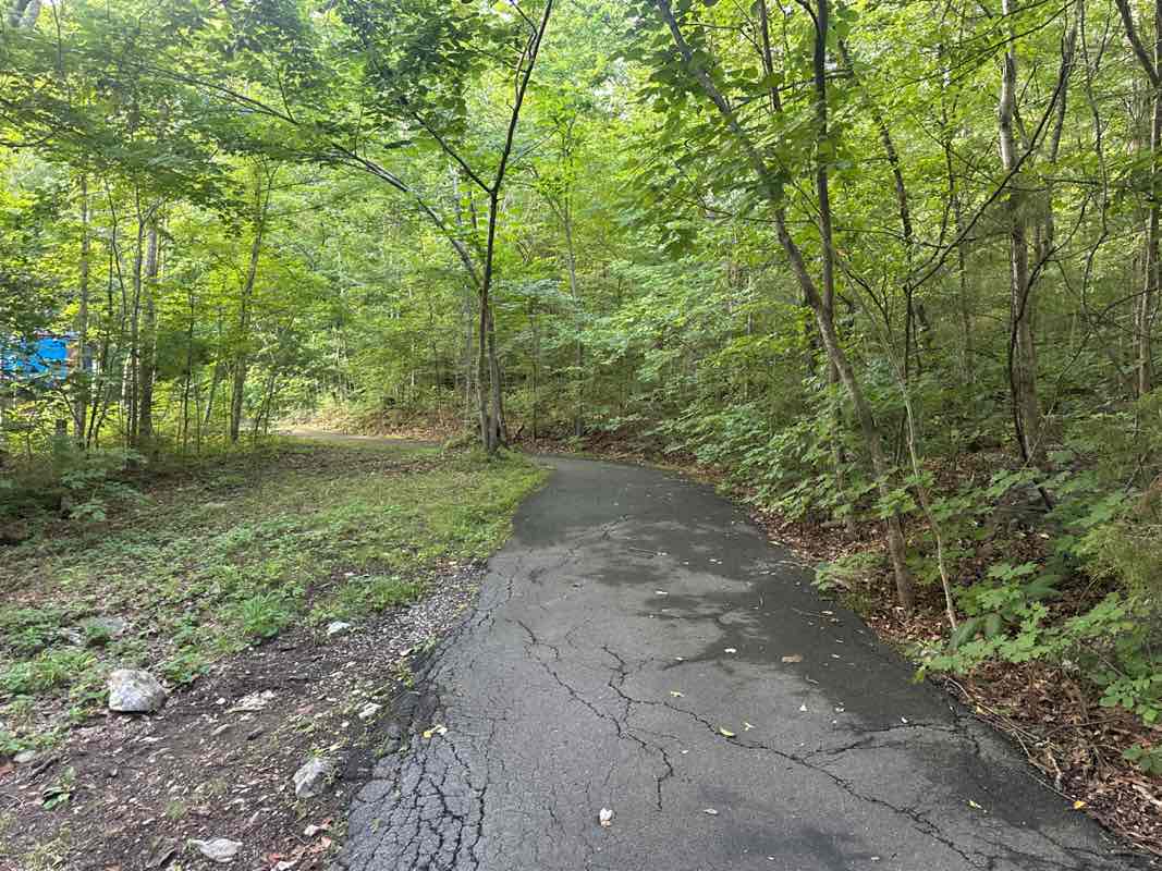 walking near me in Barfield Crescent Park in summer