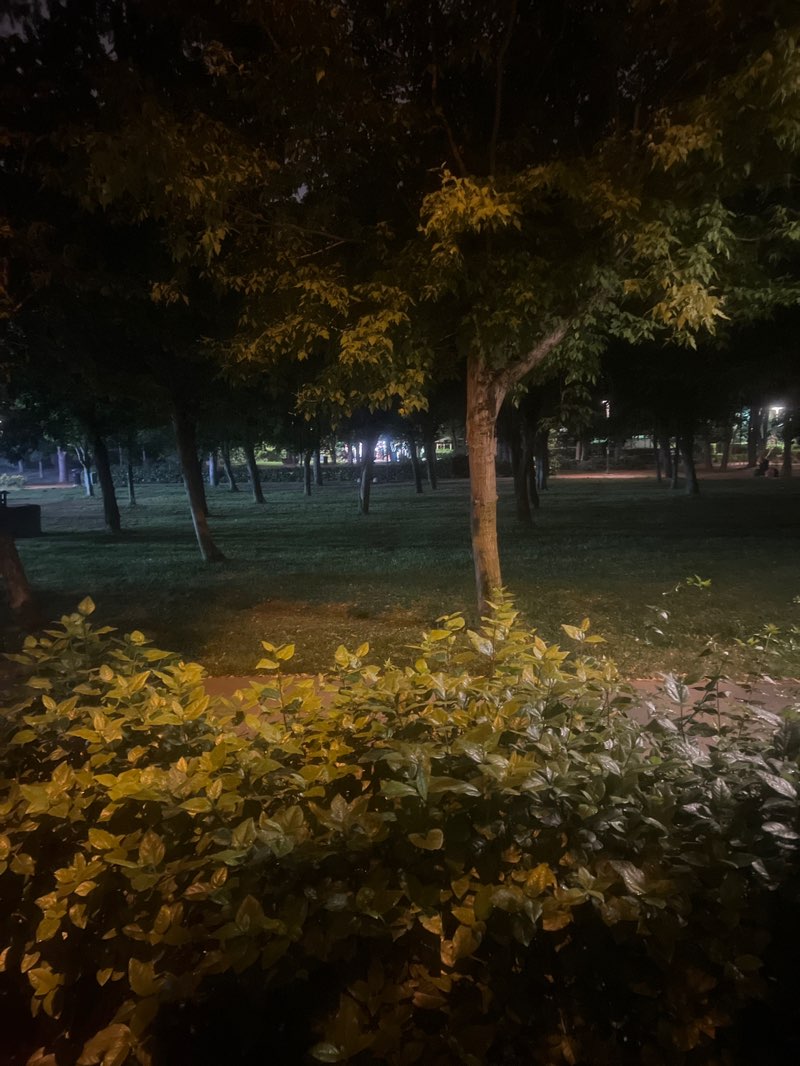 walking near me in Selamiçeşme Özgürlük Parkı in spring